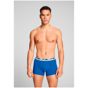 Чоловічі боксери Puma Everyday Multi Logo Boxers 2P