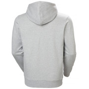 Чоловіча толстовка Helly Hansen Core Graphic Hoodie