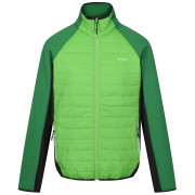 Чоловіча куртка Regatta Clumber IV Hybrid зелений