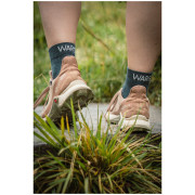 Шкарпетки Warg Endurance Merino Mid