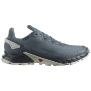Чоловічі кросівки Salomon Alphacross 4 Gore-Tex