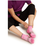 Жіночі шкарпетки Icebreaker W Multisport Light Mini