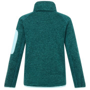 Дитяча толстовка Regatta Junior Newhill DrkForGlacGr