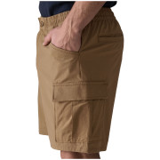 Чоловічі шорти Patagonia Men's Nomader Shorts