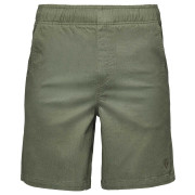 Чоловічі шорти Black Diamond M Dirtbag Shorts зелений Tundra (3010)