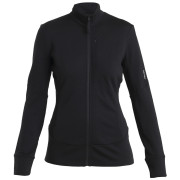 Жіноча кофта Icebreaker Women Merino 260 Quantum IV LS Zip