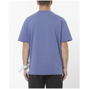 Чоловіча футболка Salomon Wild Rays Label SS Tee