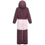 Дитячий комбінезон Dare 2b Rodeo Snowsuit Hucklbr/PkHz