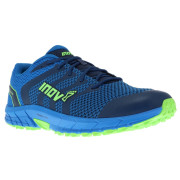 Чоловічі черевики Inov-8 Parkclaw 260 M