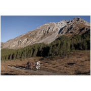 Сумка на раму Cyclite Frame Bag Small / 02