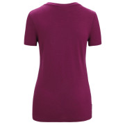 Жіноча функціональна футболка Icebreaker Women Tech Lite II SS Tee Mountain Geology
