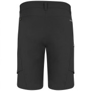 Чоловічі шорти Salewa Puez Dst M Cargo Shorts
