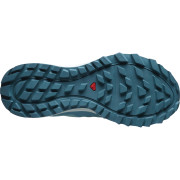 Dámské boty Salomon Trailster 2 Gtx W