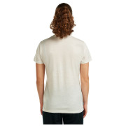 Жіноча футболка Icebreaker Women Merino 150 Tech Lite SS Tee Bird Transit