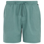 Чоловічі шорти Regatta Hadlin Shorts блакитний Arctic