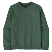 Чоловіча толстовка Patagonia M's Fitz Roy Massif Daily Crew зелений Canopy Green