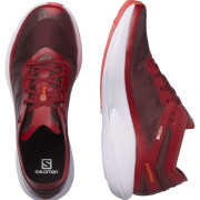 Чоловічі кросівки Salomon Phantasm
