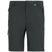 Чоловічі штани Regatta Anti-Insect Travel Light Z/O Trousers