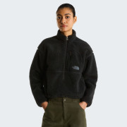 Жіноча толстовка The North Face W Extreme Pile 2 Pullover