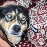 Кофта Kama 4082