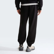 Чоловічі спортивні штани The North Face Essential Terry Simple Dome Relaxe