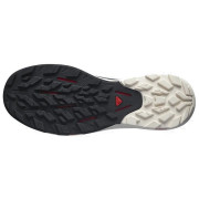 Чоловічі туристичні черевики Salomon Outpulse Gore-Tex