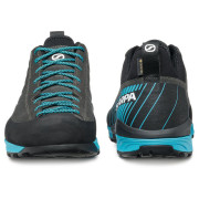 Чоловічі черевики Scarpa Mescalito GTX