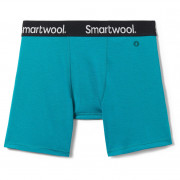 Чоловічі боксери Smartwool M Boxer Brief Boxed синій/зелений