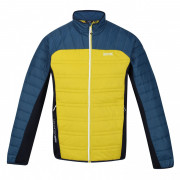 Чоловіча куртка Regatta Halton V жовтий/синій