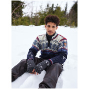Чоловічий светр Dale of Norway Vail Masc Sweater