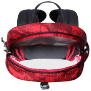 Дитячий рюкзак The North Face Youth Mini Recon