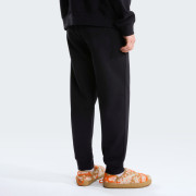 Чоловічі спортивні штани The North Face M Evolution Simple Dome Regular Jogger