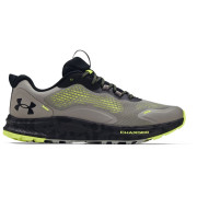 Чоловічі кросівки Under Armour Charged Bandit TR 2 світло-сірий