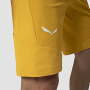 Чоловічі шорти Salewa Agner Dst M Shorts.