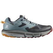 Чоловічі туристичні черевики Salomon Predict Hike Gtx чорний/синій