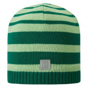 Дитяча шапка Reima Haapa зелений