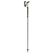 Трекінгові палиці Leki Black Series FX Carbon