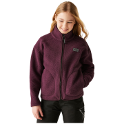 Дитяча функціональна толстовка Dare 2b Zesty II Fleece