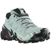 Жіночі кросівки Salomon Speedcross 6 Gore-Tex чорний/синій