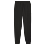Чоловічі спортивні штани Puma Ess 2 Color Logo Sweatpants
