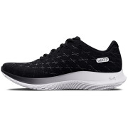 Чоловічі кросівки Under Armour FLOW Velociti Wind 2
