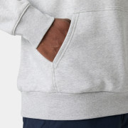 Чоловіча толстовка Helly Hansen Core Graphic Hoodie