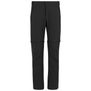Чоловічі штани Regatta Mountain Z/O Trousers