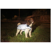 Дощовик для собаки Mountain Paws Reflective Fleece-Lined Dog Raincoat
