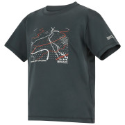 Дитяча футболка Regatta Alvarado Seal Grey
