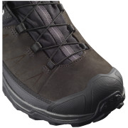 Чоловічі черевики Salomon X Ultra 3 Ltr GTX