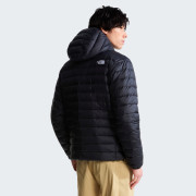 Чоловіча куртка The North Face M Classic Down Hooded Jacket