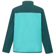 Дитяча функціональна толстовка Regatta Junior Frankie Warm Fleece Mediterranea/Turquoise