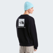 Чоловіча толстовка The North Face M Evolution Box Nse Regular Crew