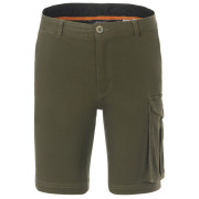 Чоловічі шорти Regatta Bendrick Shorts зелений Dark Khaki